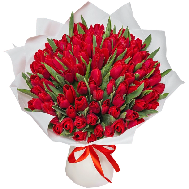 101 красный тюльпан