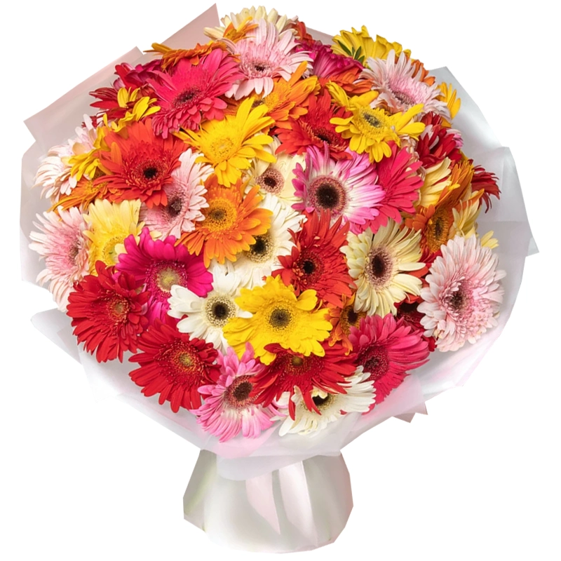 Букет из 51 герберы